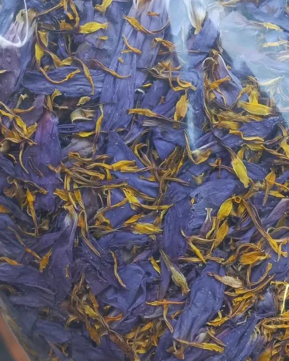 Sealed bag of dried blue lotus flower for sale to business buyers