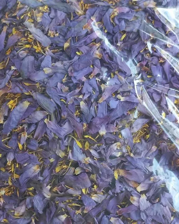 Bulk bag of dried blue lotus flower ready for retail repacking